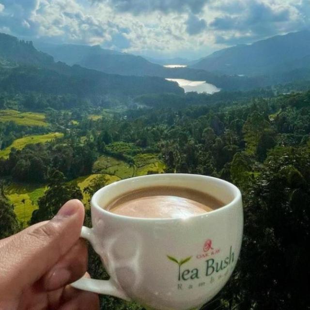Oak Ray Tea Bush Hotel Ramboda Buitenkant foto